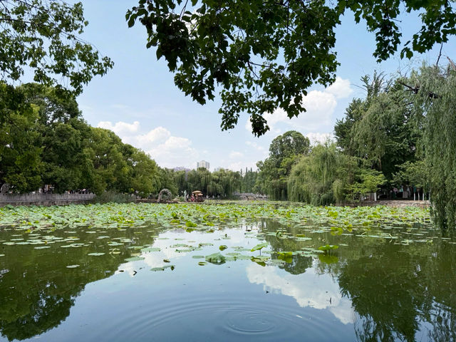 【中国・昆明 翠湖公園】緑と水に癒される昆明の「翠湖公園」