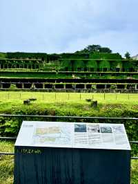 佐渡島-北澤遺址