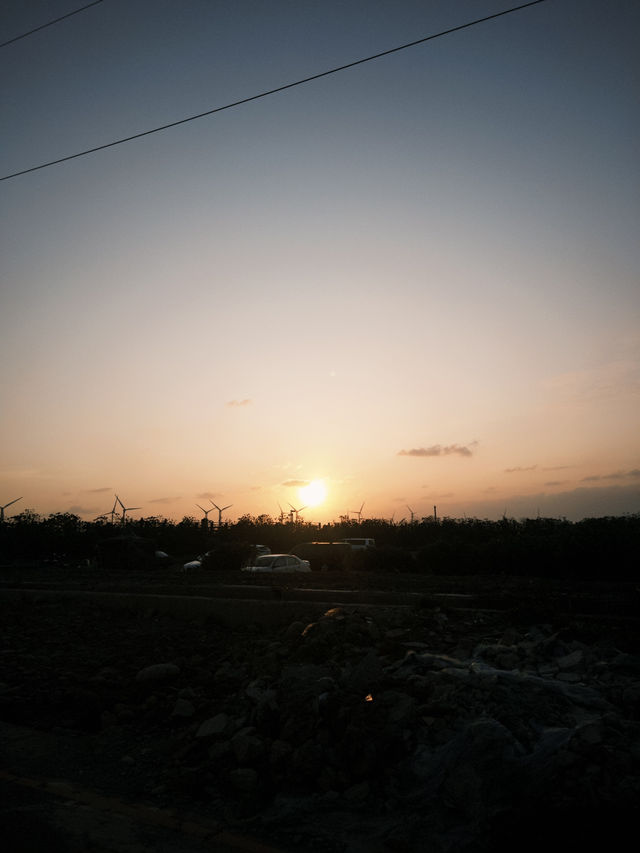 夕陽與生態共舞——台中高美濕地半日漫遊