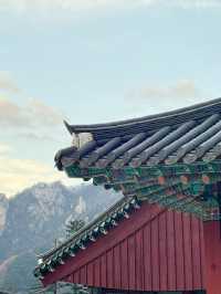 🍁 설악산 당일치기 여행기 – 단풍, 케이블카, 신흥사까지 완벽 루트!