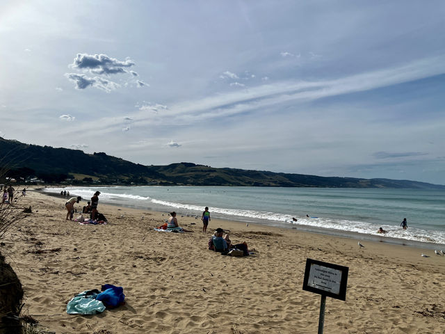 Apollo Bay: A Perfect Summer Getaway on the Great Ocean Road