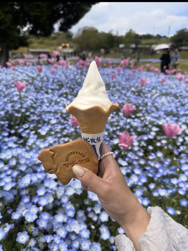 自然とふれあう「マザー牧場」で、癒しと笑