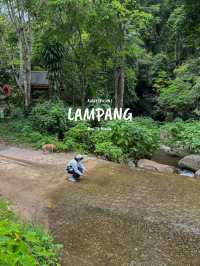 ฤดูฝนที่บ้านป่าเหมี้ยง จ.ลำปาง 🏡⛰️🌧️🌳