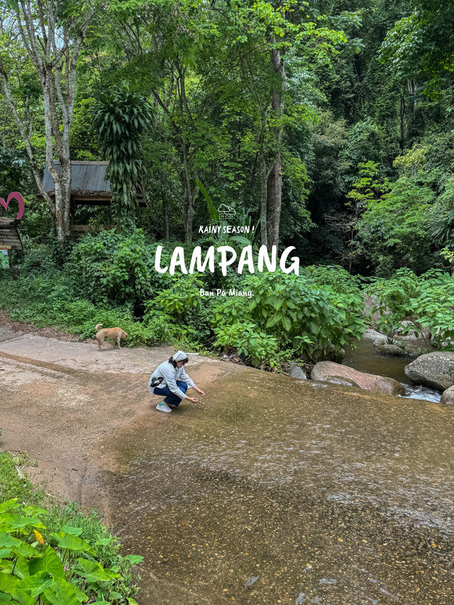 ฤดูฝนที่บ้านป่าเหมี้ยง จ.ลำปาง 🏡⛰️🌧️🌳