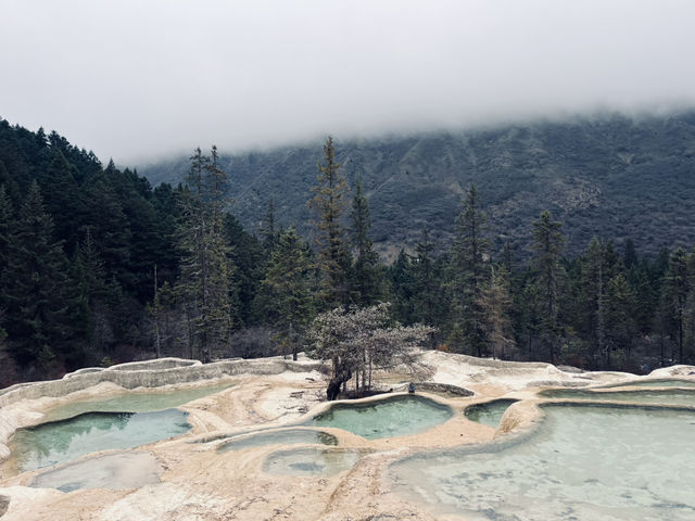 Spring’s First Breath in Huanglong Valley