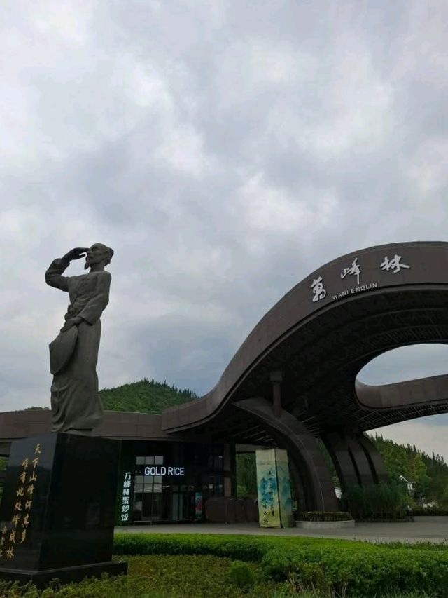 天下山峰何其多  唯有此處峰成林