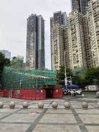 深圳洪湖公園，一年一度的荷花展，千萬不要錯過啊🪷