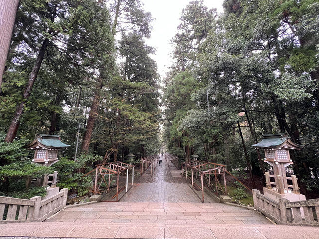 ⛩️ Serene Escape into Nature at Yahiko Shrine – Niigata