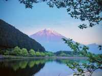 ทะเลสาบทานูกิ (Lake Tanuki / 田貫湖) — ทะเลสาบเล็ก ๆ 