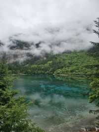 Ultimate Jiuzhaigou Valley Guide: China's Most Breathtaking UNESCO Paradise