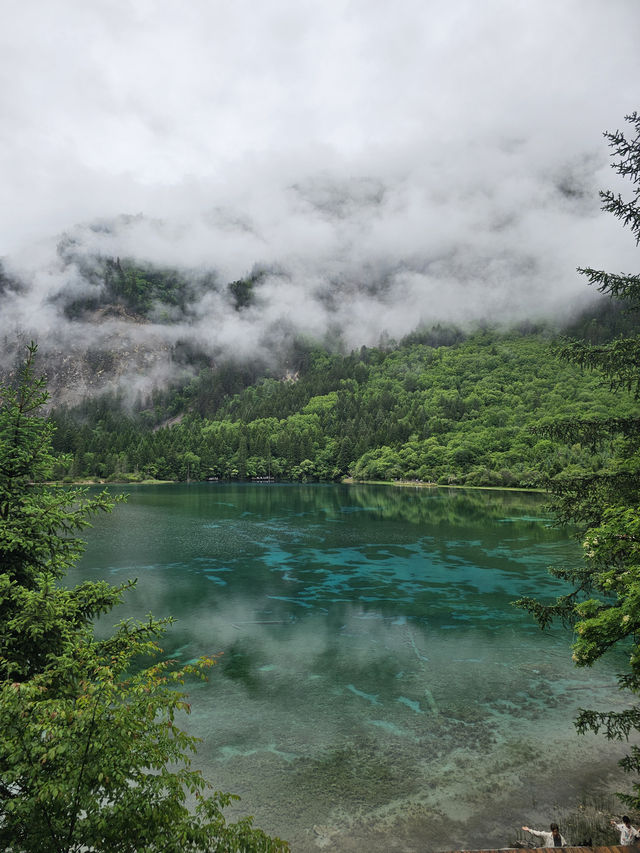 Ultimate Jiuzhaigou Valley Guide: China's Most Breathtaking UNESCO Paradise