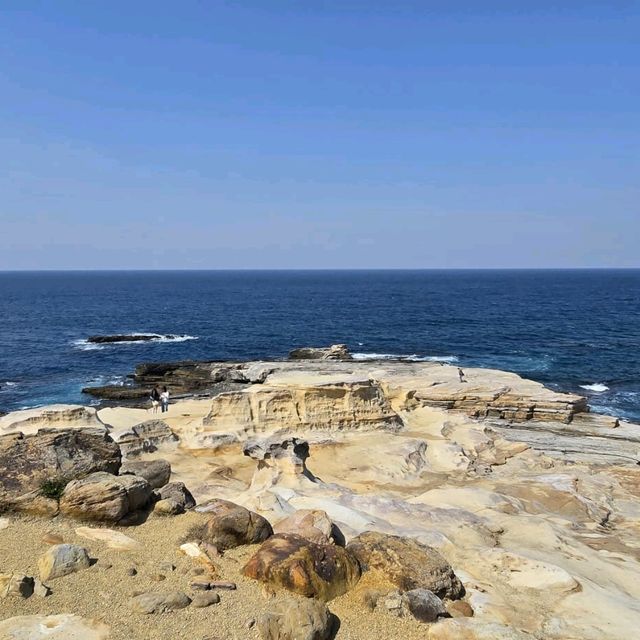 和歌山市3日遊攻略