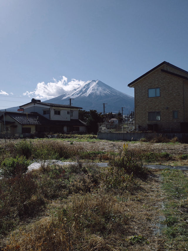 Chureito Pagoda x Mt. Fuji
