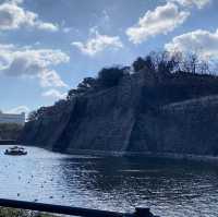 Osaka custle : ปราสาทโอซาก้า