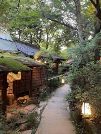 【東京】この夏に行きたい奥多摩にある人気カフェ☕🌿