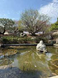 静かな時間が流れる場所、奉恩寺で心をリセット。🧘‍♀️✨