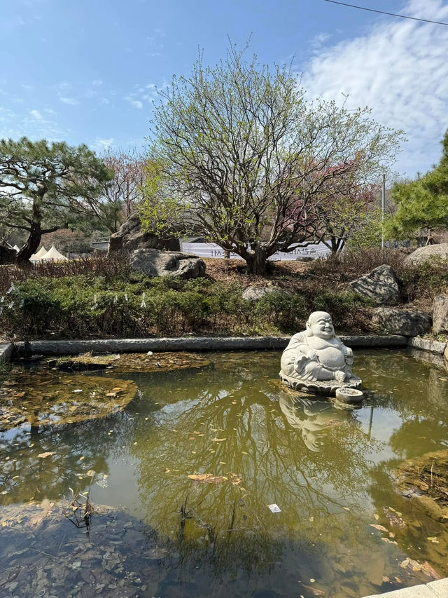 静かな時間が流れる場所、奉恩寺で心をリセット。🧘‍♀️✨