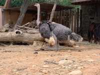 新竹市立動物園：與動物們的悠閒漫步
