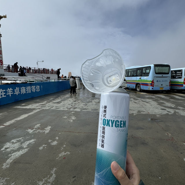 西藏旅遊🧳