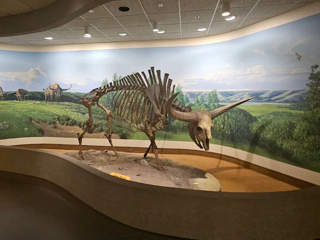 🏛️【ロイヤル・サスカチュワン州立博物館（Royal Saskatchewan Museum）】自然・歴史・文化が学べ