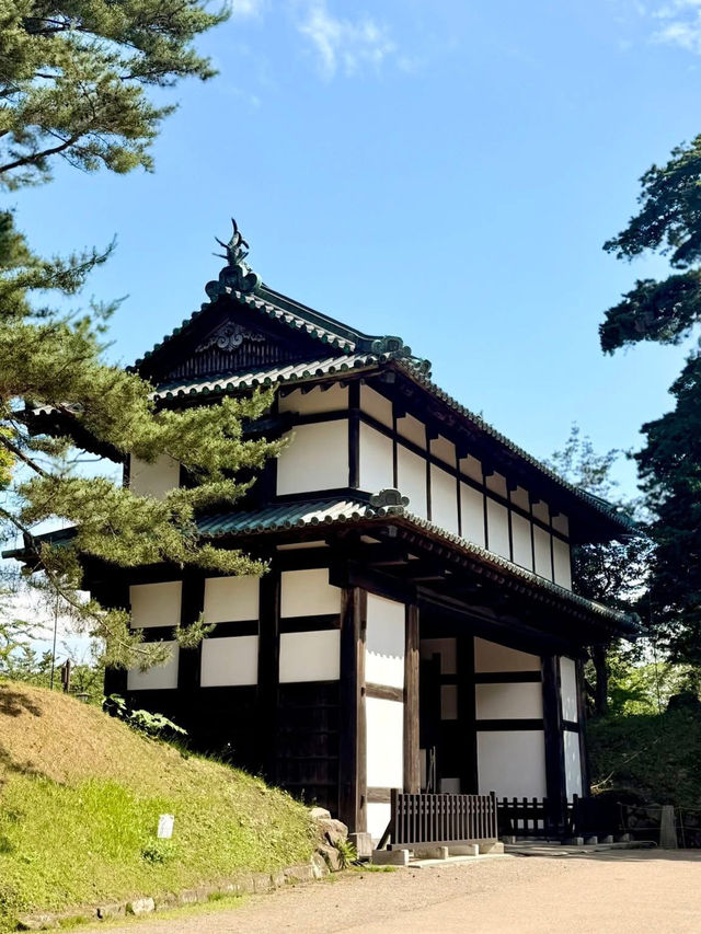 Hirosaki Castle: Where Samurai Meets Cherry Blossom Chaos (And You Get the Perfect Pic)"** 🏯🌸  