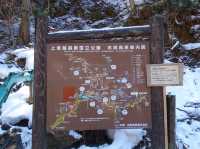 🐒 Jigokudani Yaen-Koen – A Snow Monkey Experience Worth the Hike