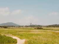 Daebu Bada Hyanggi Theme Park, Gyeonggi Province: A Vast Coastal Oasis for Relaxation and Recreation