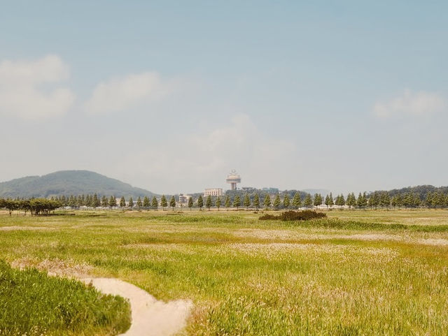 Daebu Bada Hyanggi Theme Park, Gyeonggi Province: A Vast Coastal Oasis for Relaxation and Recreation