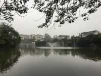 🌿 Serenity in the City: Hoàn Kiếm Lake + Cake & Coffee by the Water
