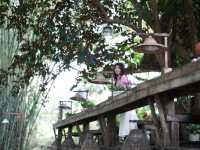 จิบกาแฟฟังเสียงลำธารที่แม่ตะมาน