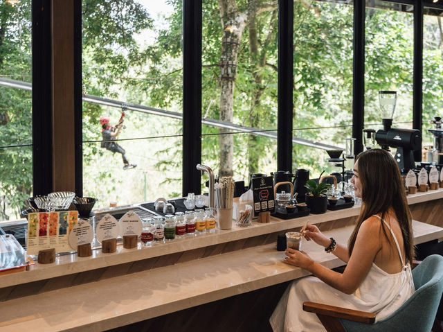 🌿☕✨Baboon Phuket