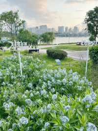 ปิกนิกที่สวนตุกซอม (Ttukseom Hangang Park) 🧺