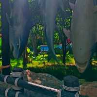 ชวนเล่นน้ำที่สวนน้ำ Aquatopia park ที่เวียดนาม