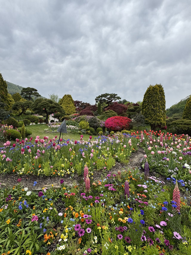 可能係全韓國最靚嘅花園！晨靜樹木園：四季都美到不像話💐💫