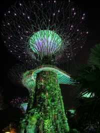 ✨🌿 รีวิวเริ่ด ๆ ของ Gardens by the Bay 🌿✨