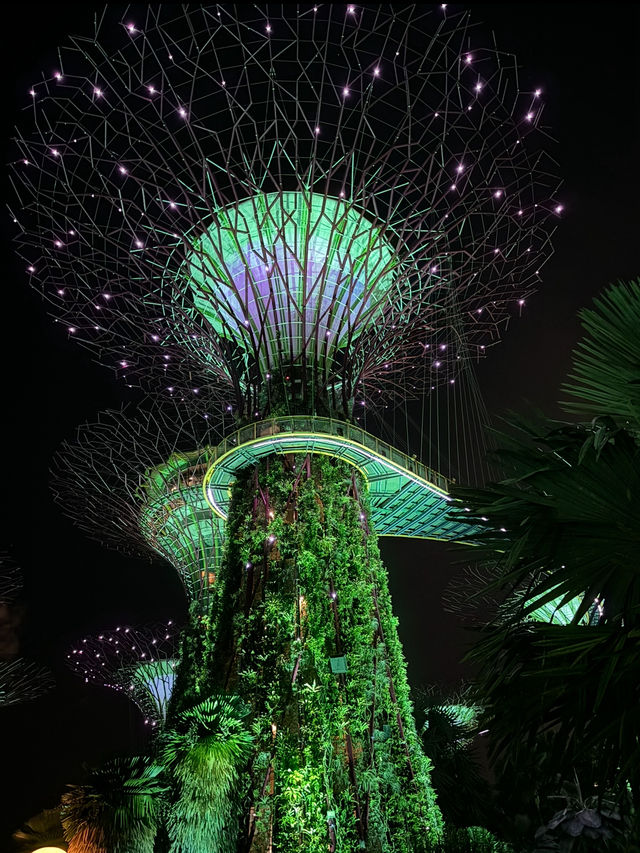 ✨🌿 รีวิวเริ่ด ๆ ของ Gardens by the Bay 🌿✨