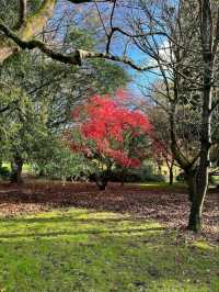Alexandra Park