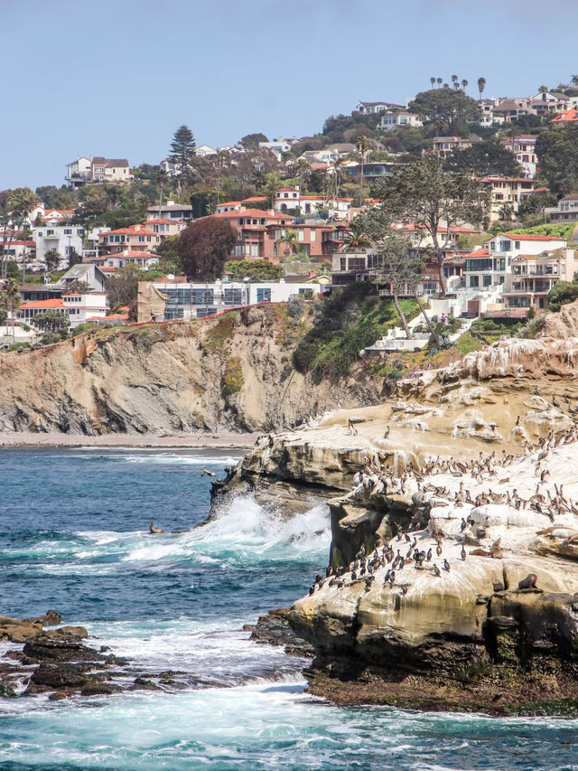 San Diego | Coastal Train to Summer 🚂🌊