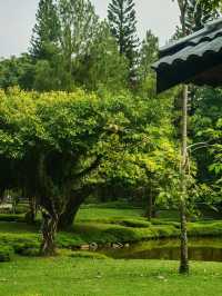 Taman Jepun Ipoh – A Hidden Japanese-Inspired Gem in the City