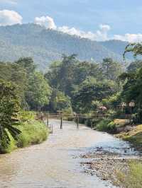 Jungle Trek & Waterfall Magic