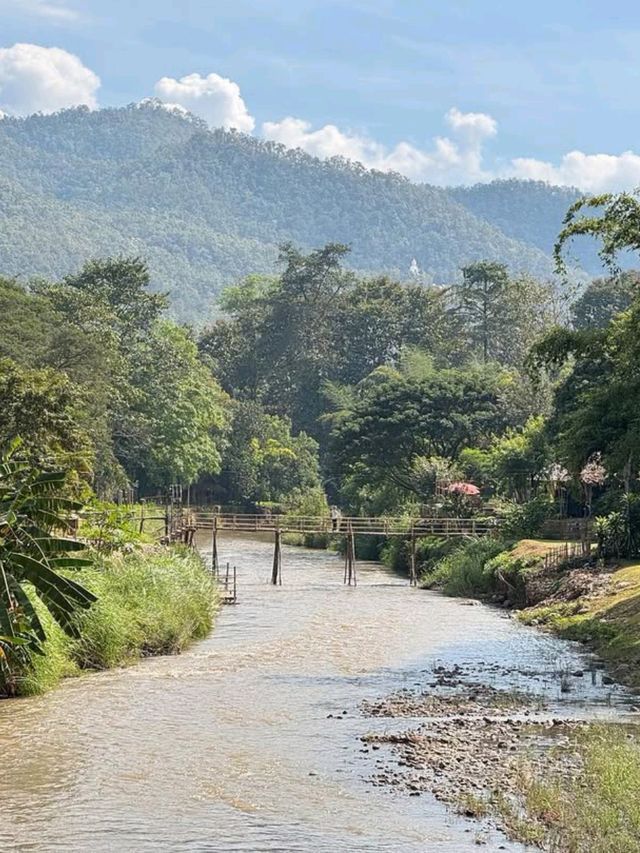 Jungle Trek & Waterfall Magic