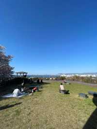 Spring in Fukuoka