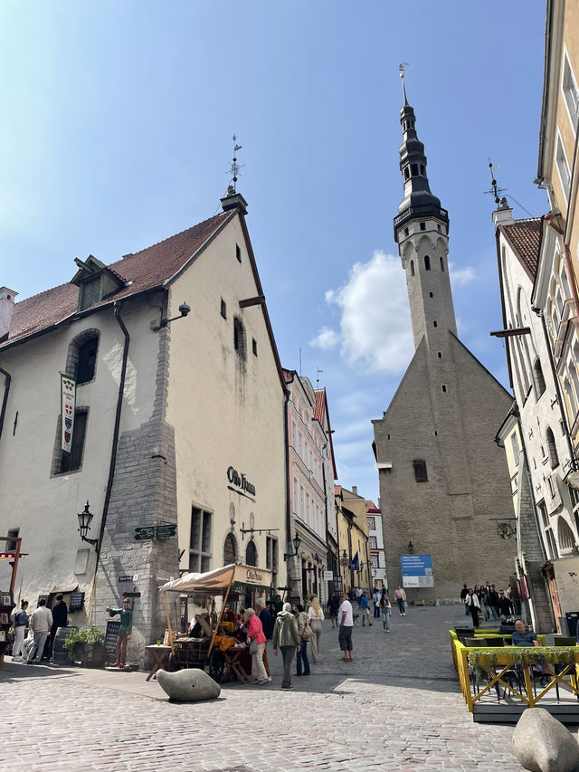 🛳️✨ 헬싱키에서 떠나는 동화 속 하루 여행 Tallinn 당일치기 투어 가이드 🇪🇪💙