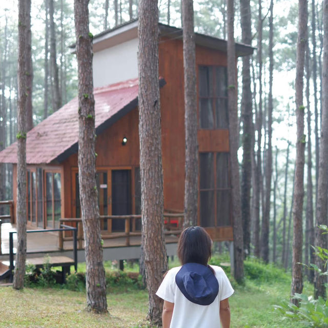 ที่เที่ยวเชียงใหม่ 🌻🌿
