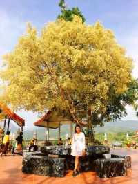  วัดภูเก็ต จ.น่าน