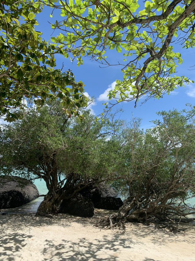 เกาะขาม - One day trip🏝️