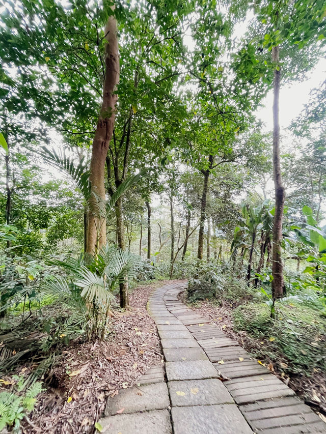 Banyu Wana Amertha Waterfall view 1