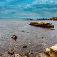 Coastal Serenity & Hidden History: A Solo Explorer’s Day in Yokosuka’s Best Parks"** 🌊🌳