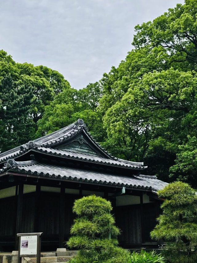 Tokyo Imperial Palace: Where Serenity Meets Majesty