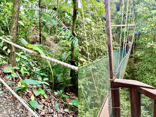 💦 Canopy Calm, Waterfall Chill: The Cool Side of Poring Hot Springs